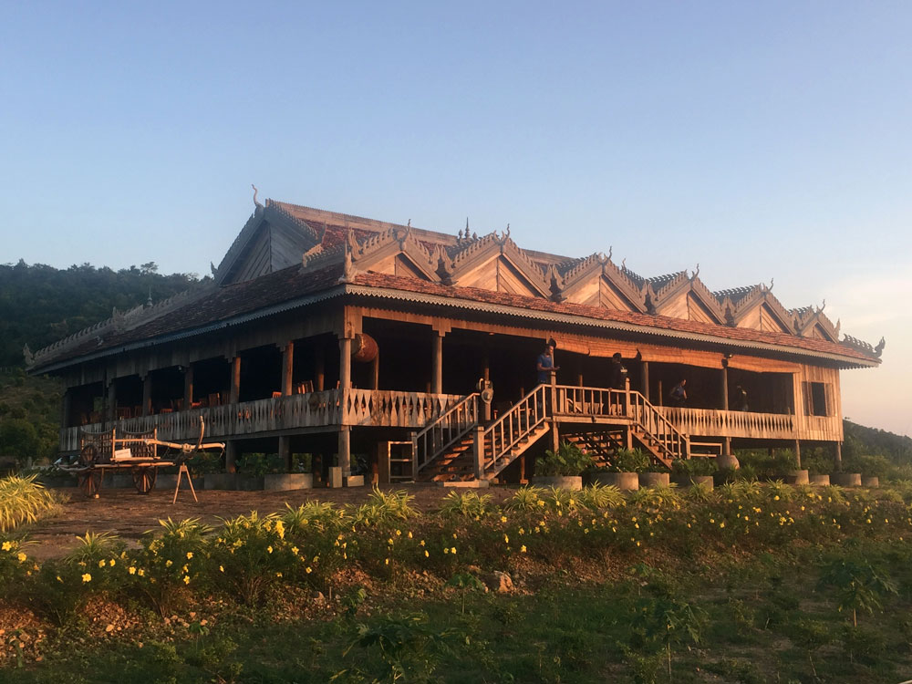 la plantation pineapple farm in kampot, cambodia