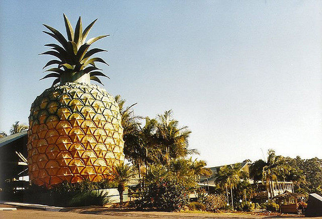 The Big Pineapple in Queensland. A symbol of hospitality.