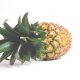 A fresh and ripe pineapple laying on its side with crown intact.
