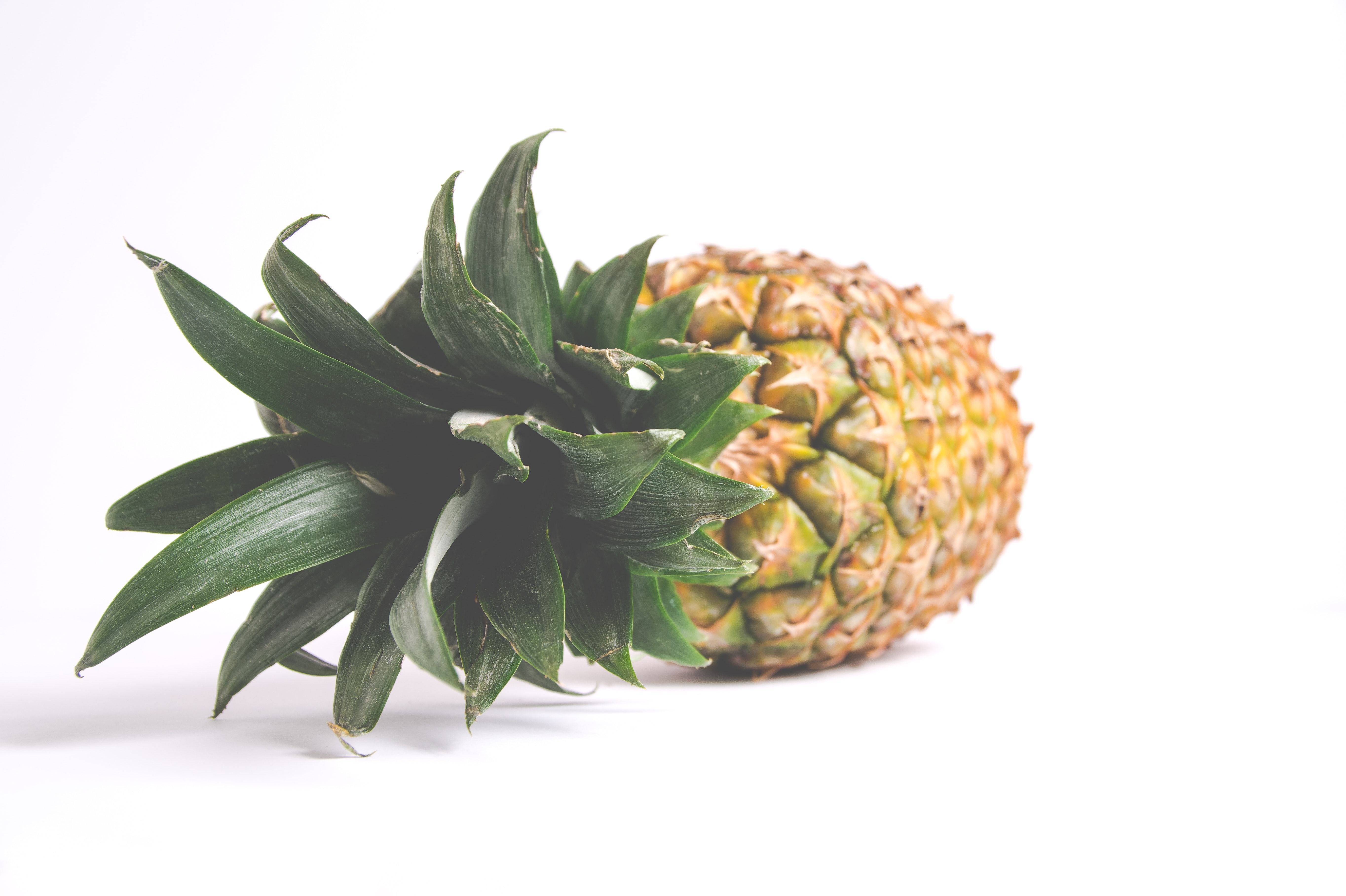 A fresh and ripe pineapple laying on its side with crown intact.