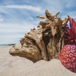 red pineapple on beach
