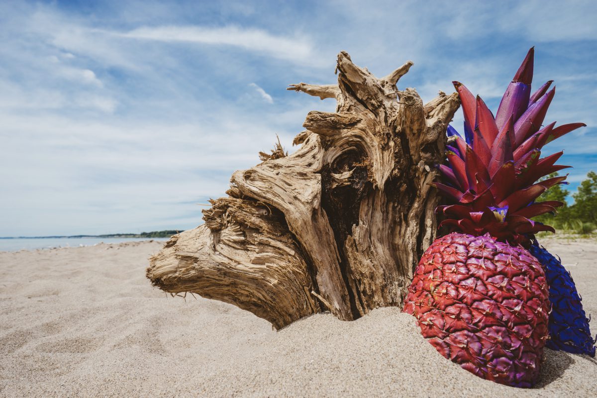 red pineapple on beach