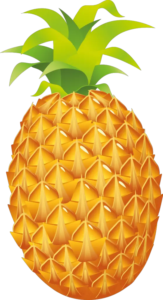 pineapple clipart drawn cartoon