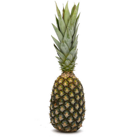 a sugarloaf pineapple strain
