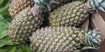 a basket of pineapples