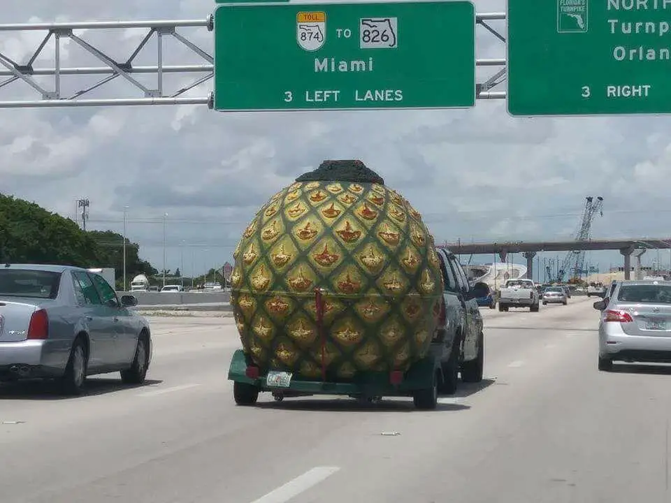 pineapple meme spongebob goes the wrong way